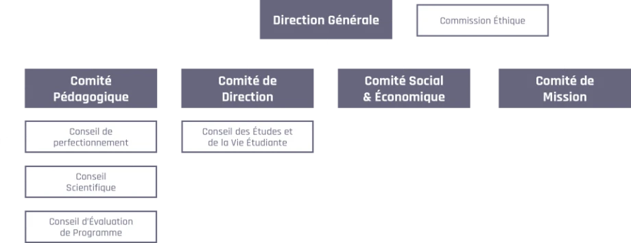 organisation generale schema