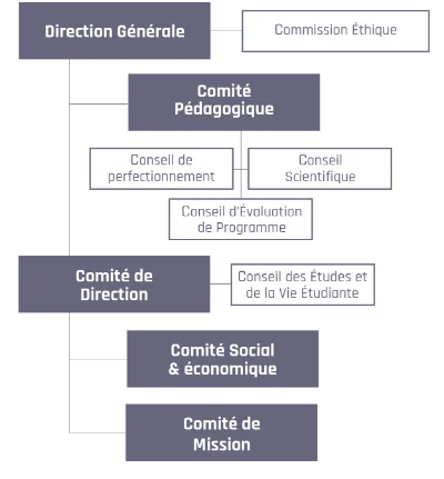 organisation generale schema mobile