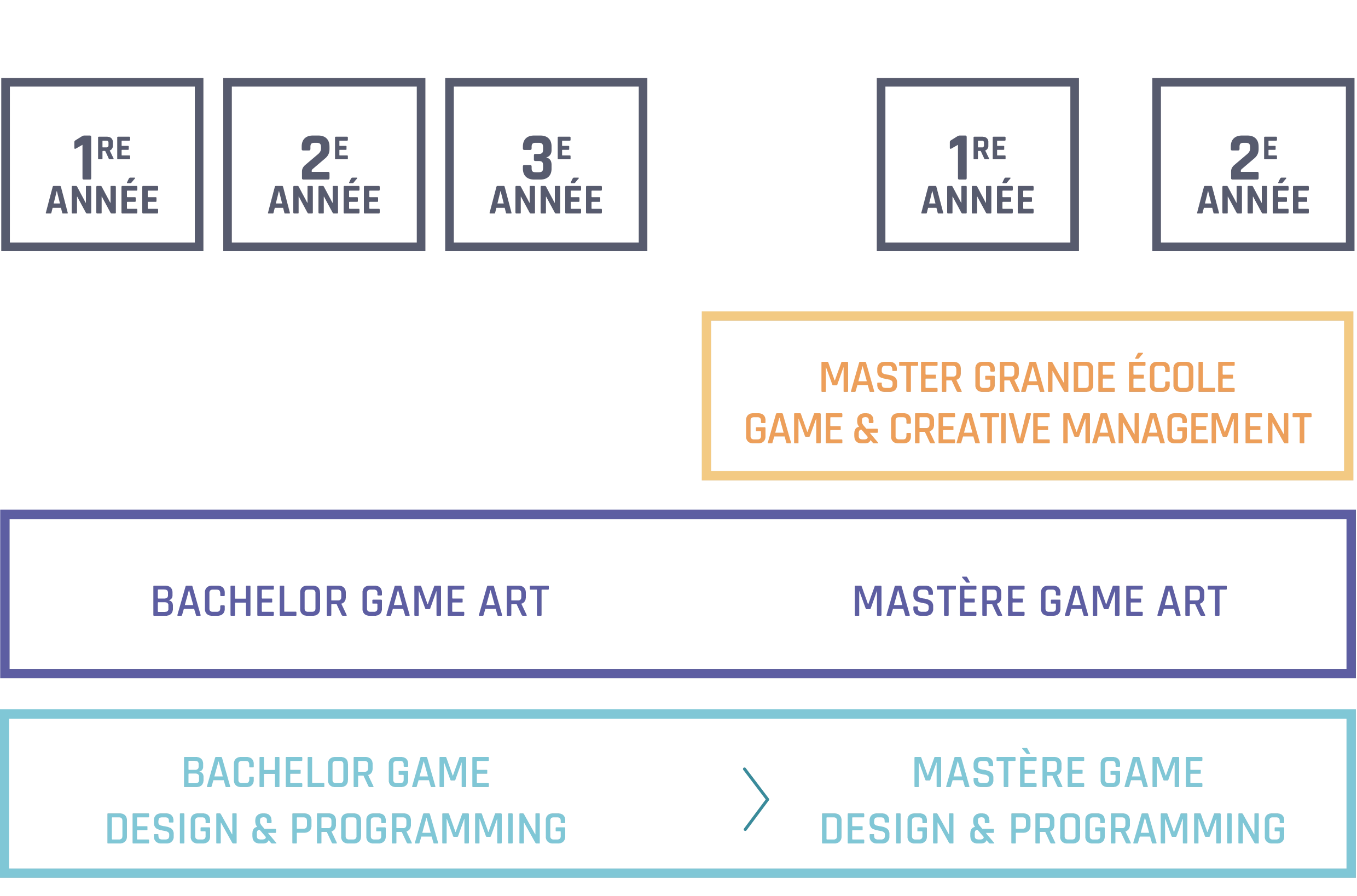 Schema_des cursus_Nice_fr 2024 - webp