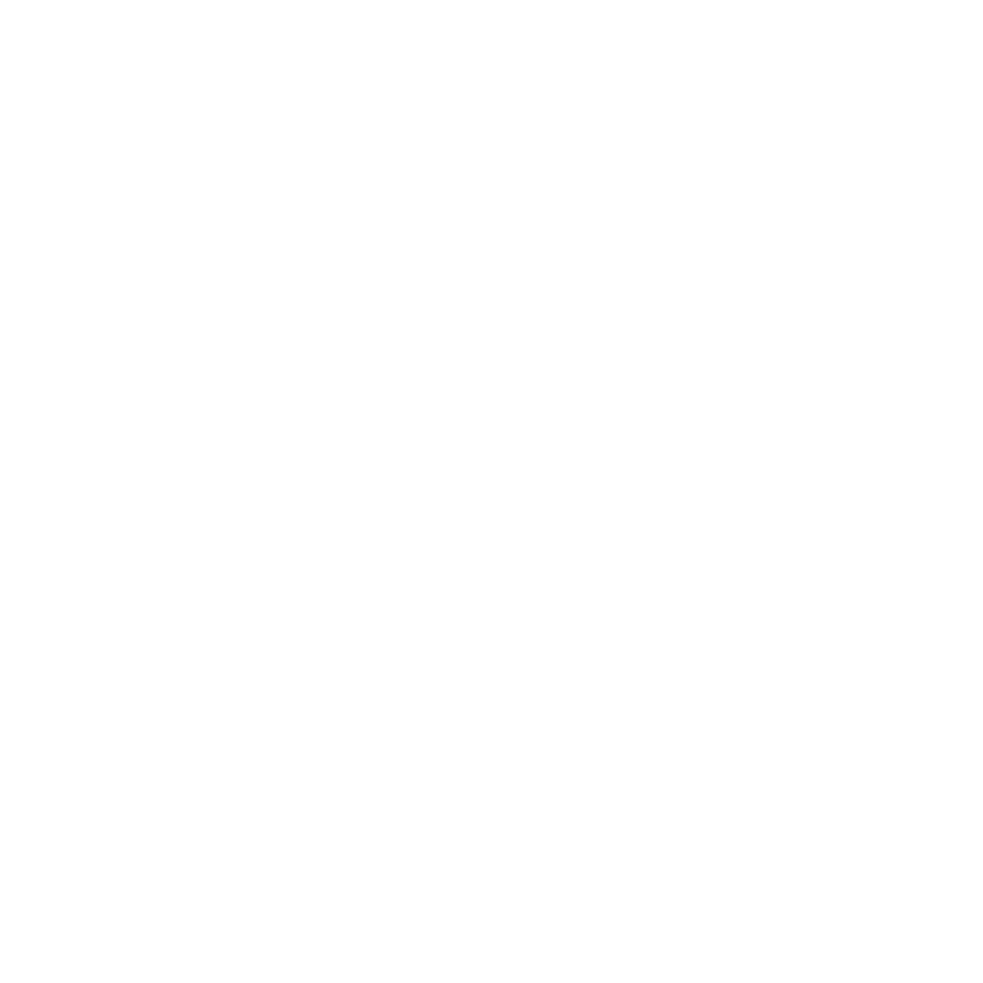 logo_isir_white