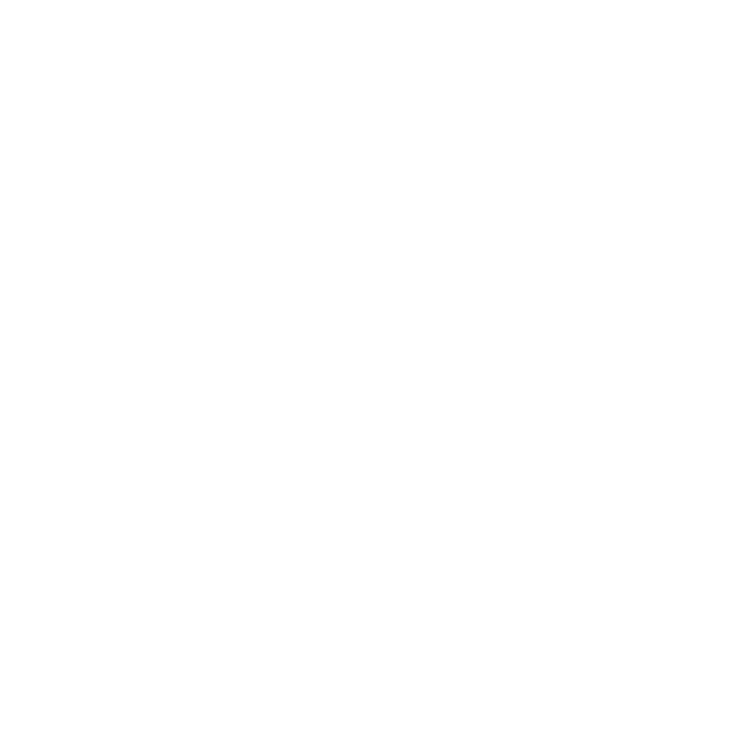 logo_nexter_white