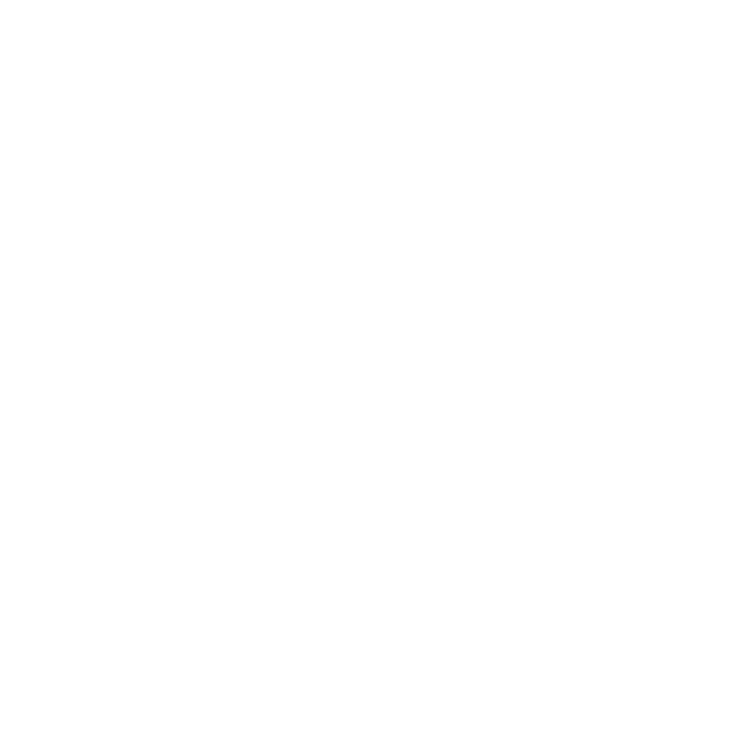 logo_skezi_white