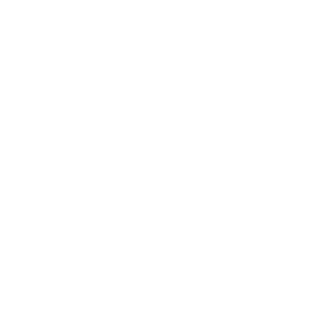 logo_vinci_white